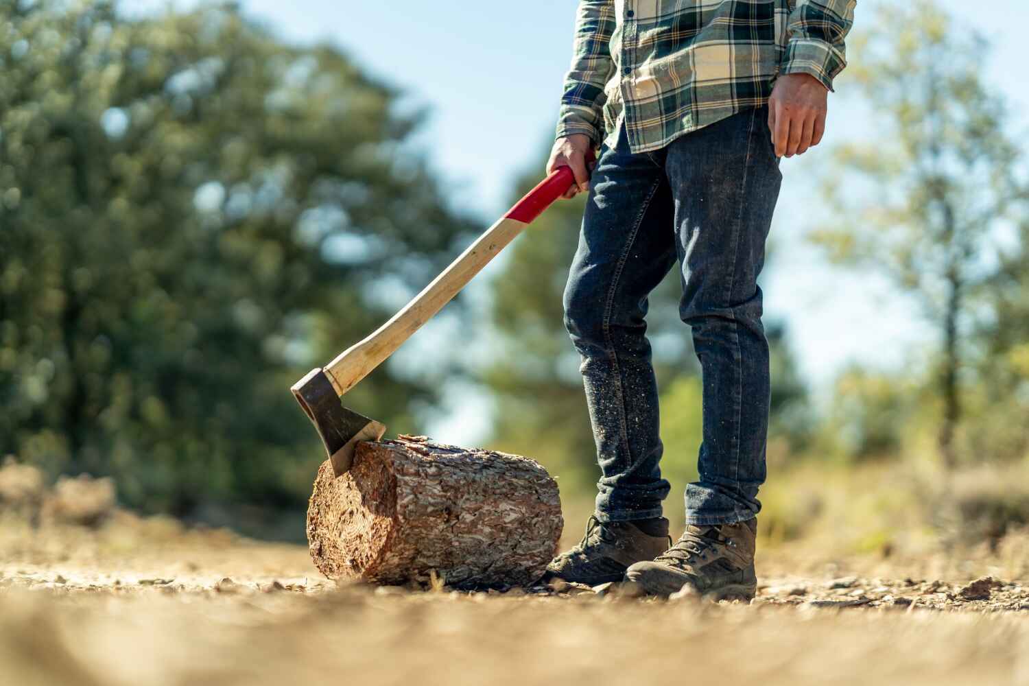 Holly Ridge, NC Tree Service Company